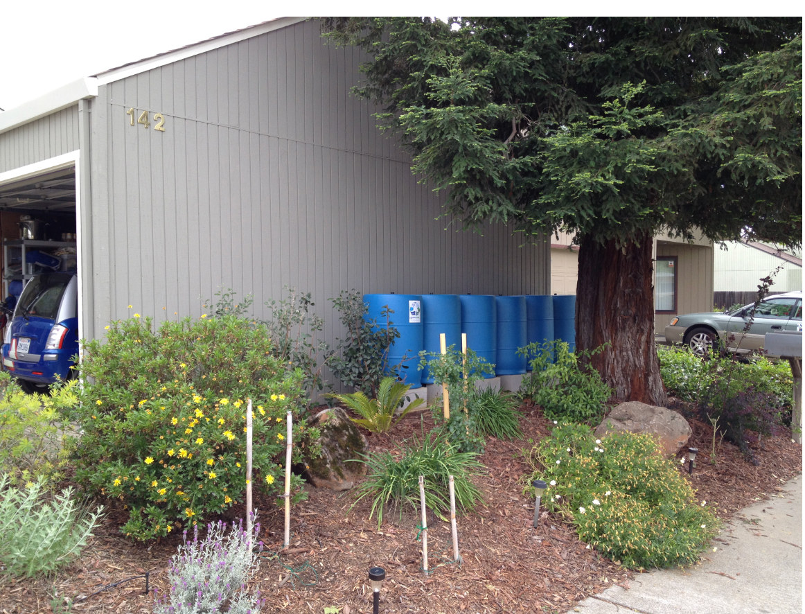 Putting Your Roof to Work: What Can a Rain Barrel or Rain-Harvesting System Do for You?